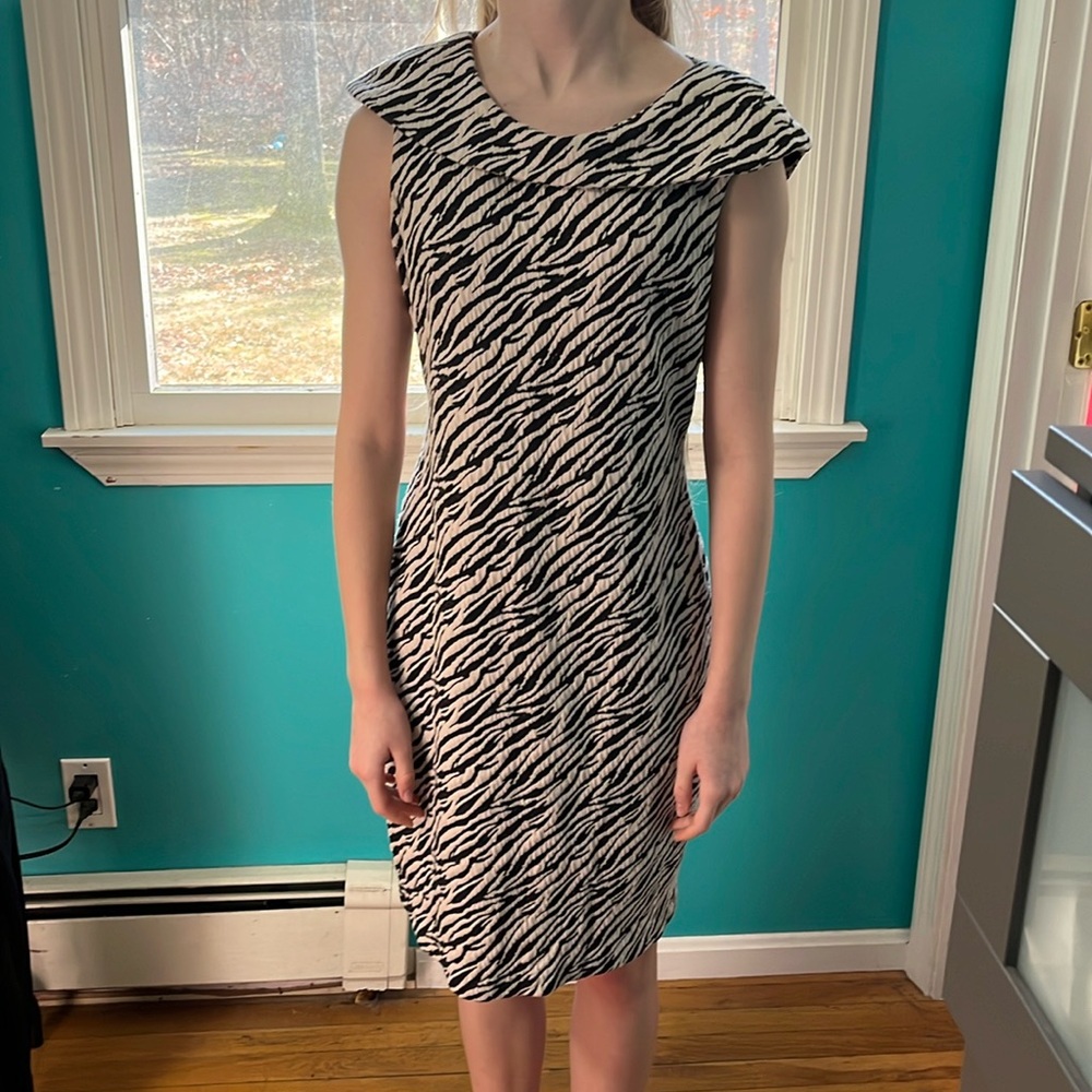 Zebra Striped Dress by Calvin Klein Size 8